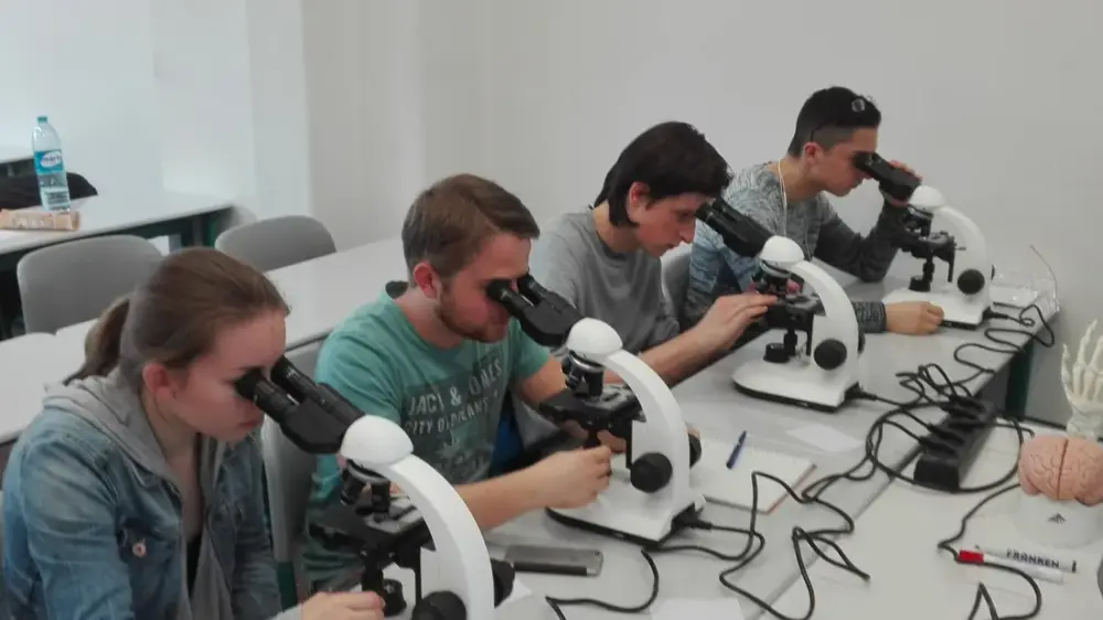 Teilnehmende in einem PreMed-Kurs am Mikroskop