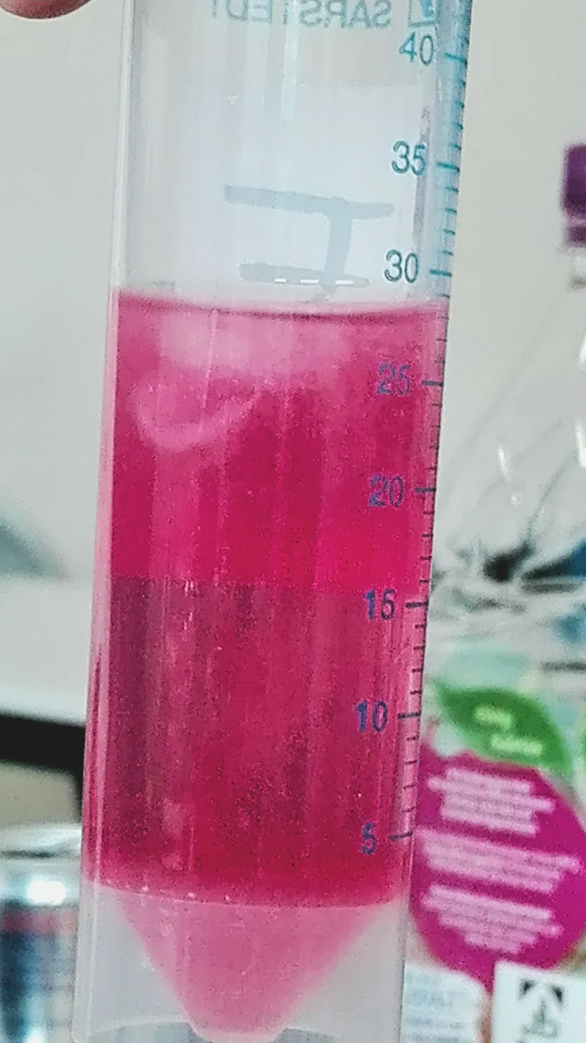 Naturwissenschaftliches Experiment