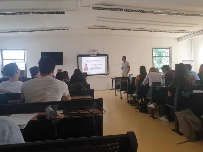 Teilnehmende im Seminar